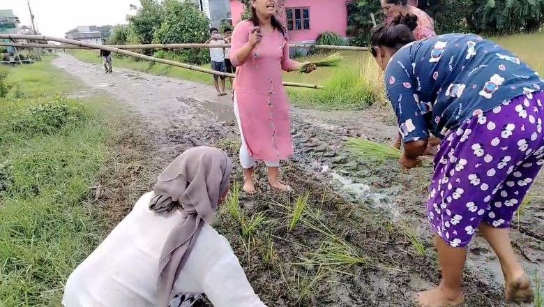 वर्षामा सडकको सास्ती, स्थानीयले गरे सडकमै रोपाईं